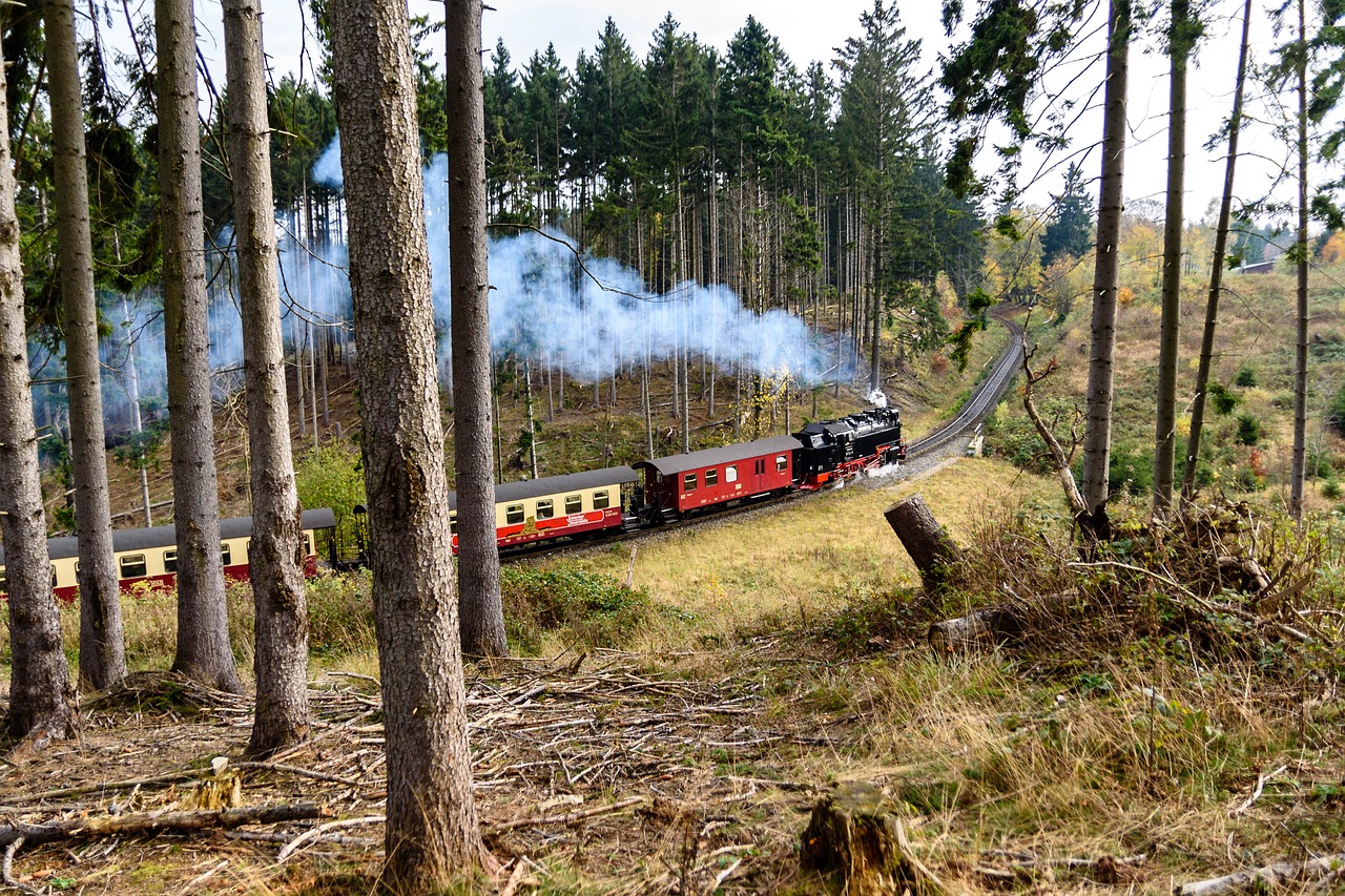 Image - steam locomotive in the resin