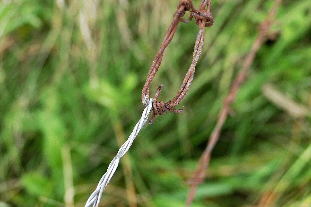 Image - barbed wire rusty old wire metal