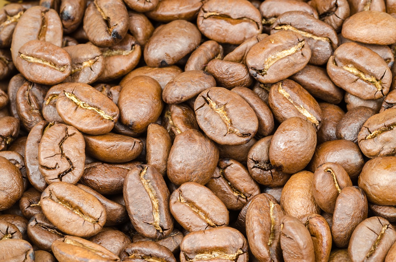 Image - coffee brown caffeine seed