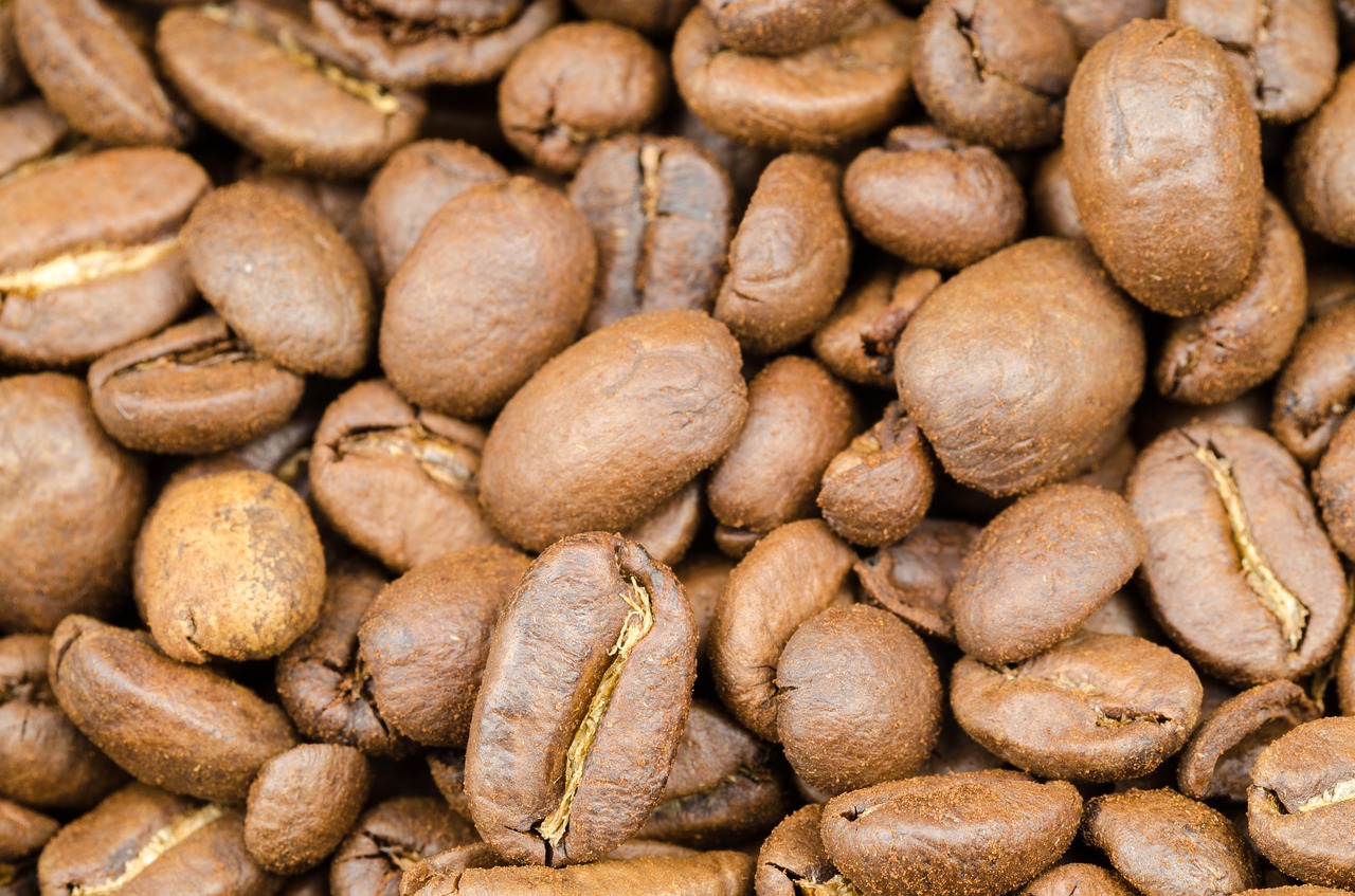 Image - coffee brown caffeine seed