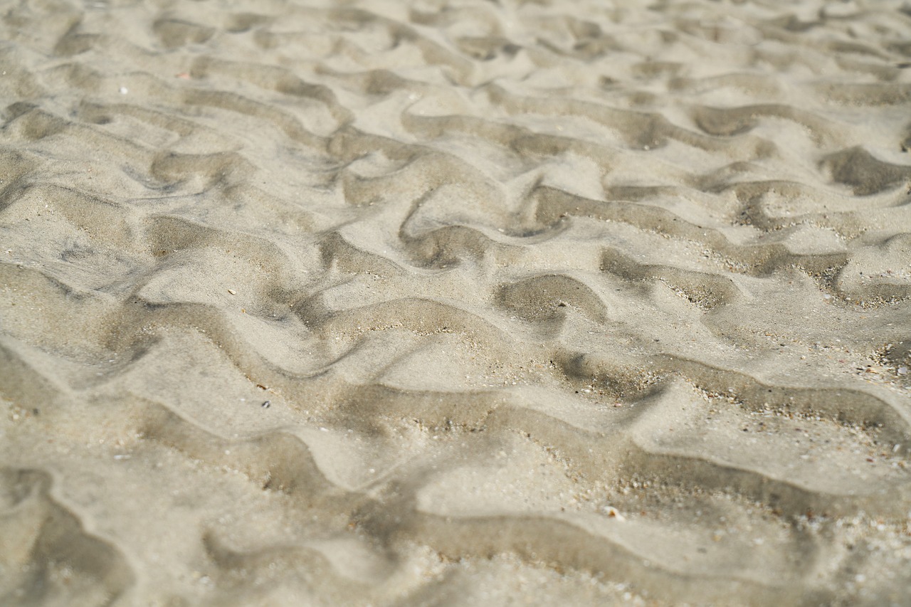 Image - sand beach a grain of sand holiday