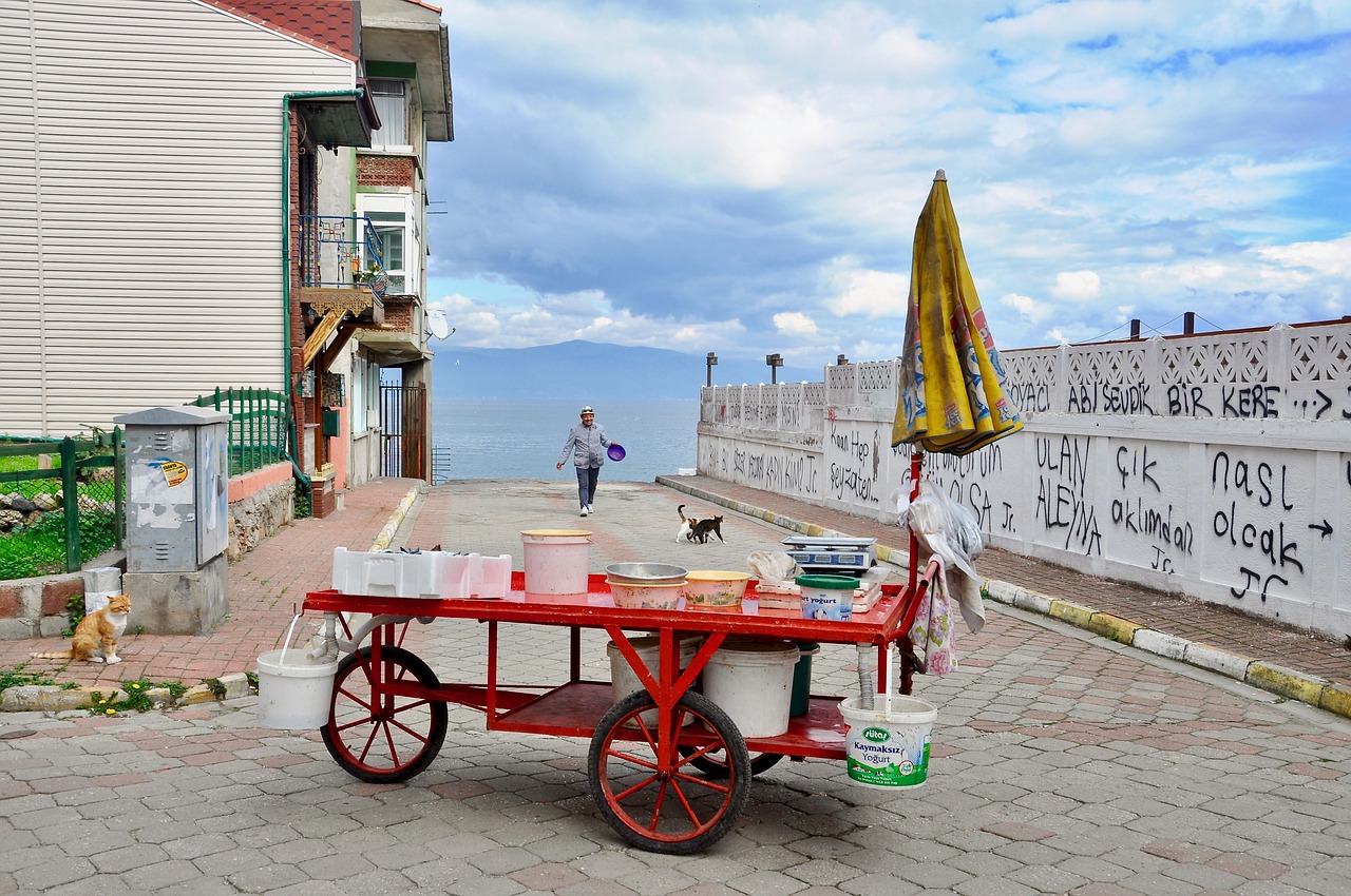 Image - fisherman cat mudanya scholarship