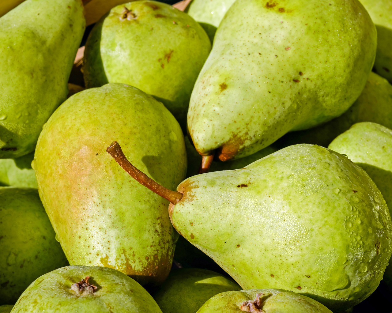 Image - pears fruit bio left untreated