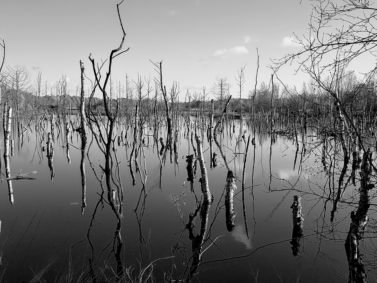 Image - moor landscape weird lonely