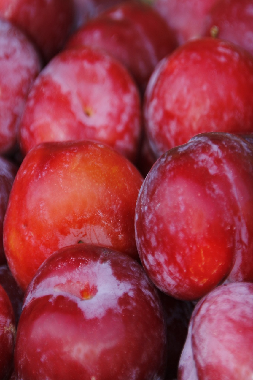 Image - fruit plums red plums harvest