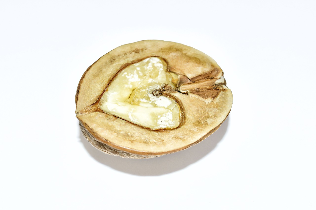 Image - nut walnut nuts fruit bowl brown