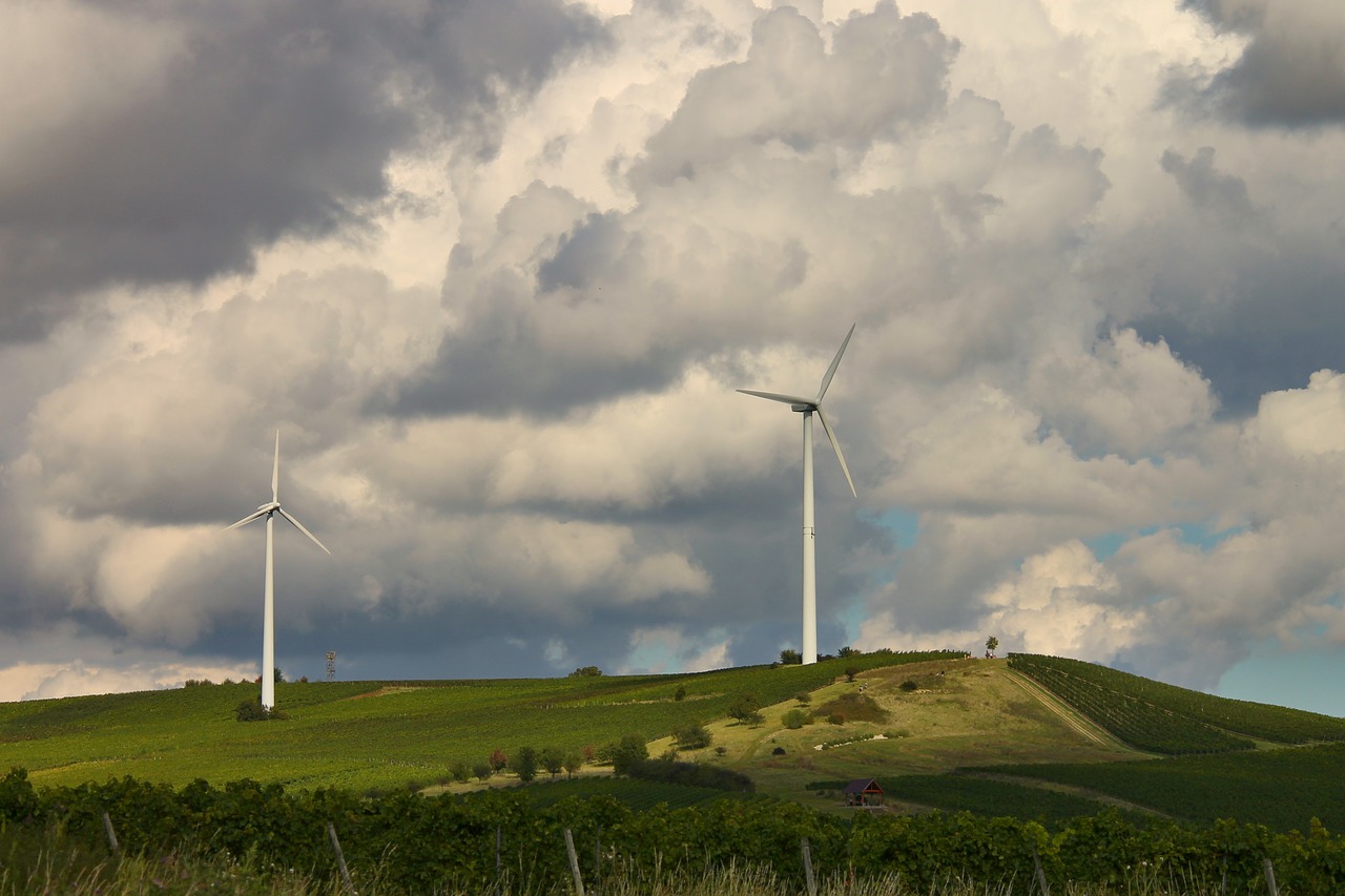 Image - landscape vineyards windräder