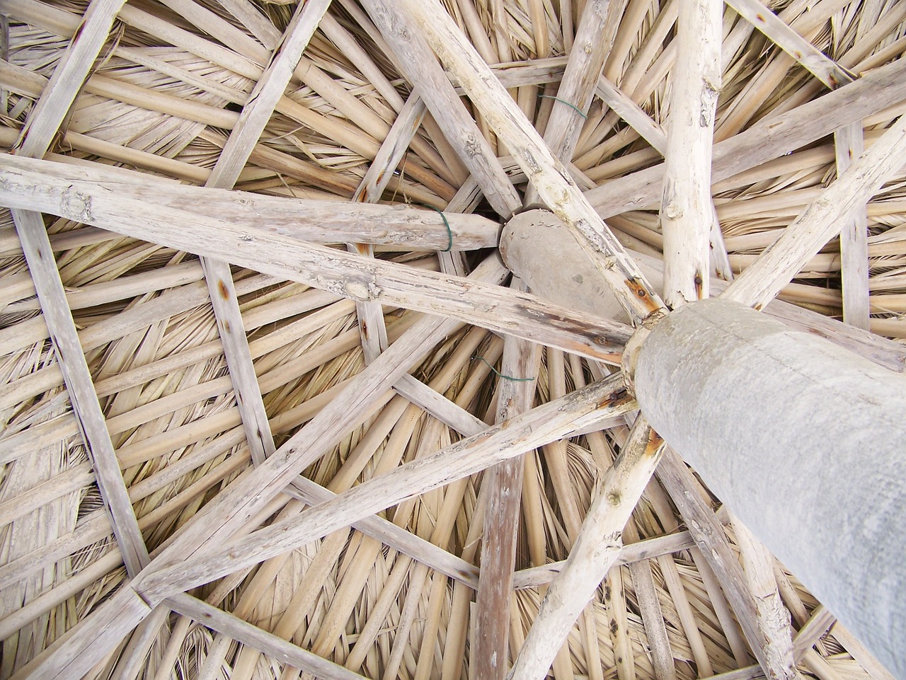 Image - wood umbrella summer white outdoor