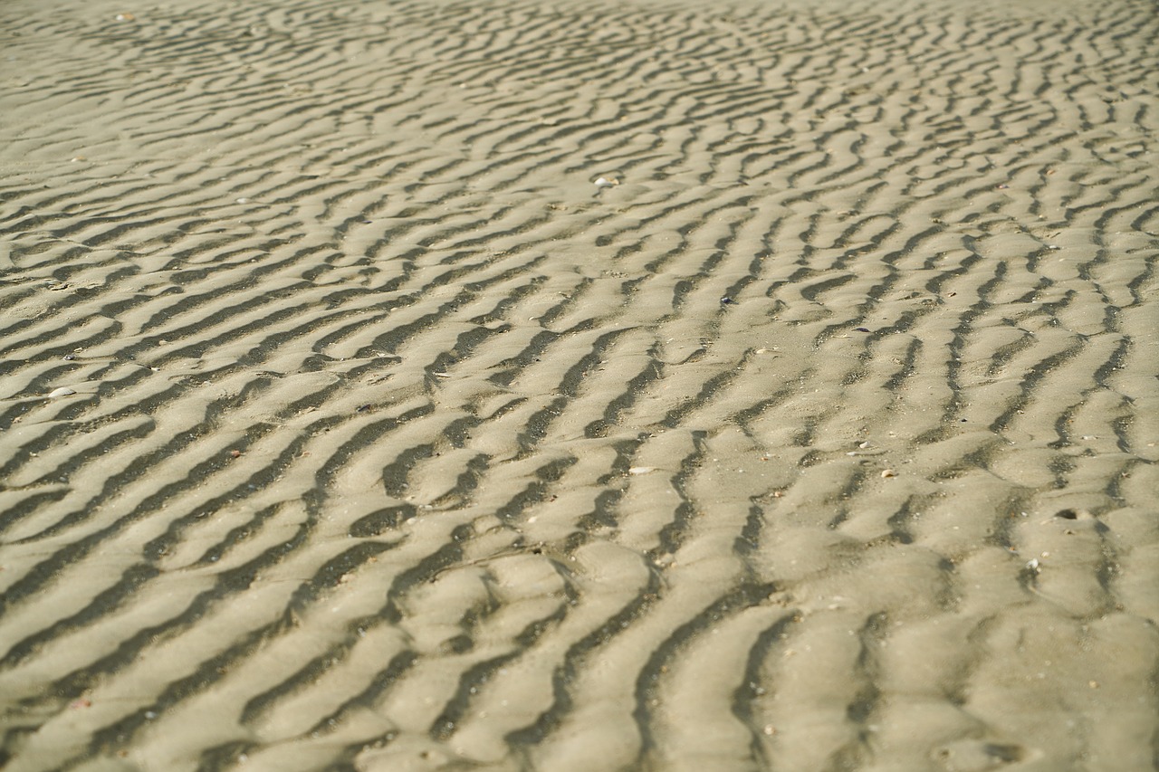 Image - sand beach texture detail pattern