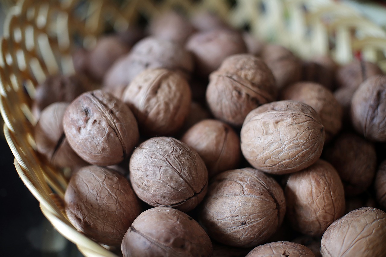 Image - still life nut walnuts