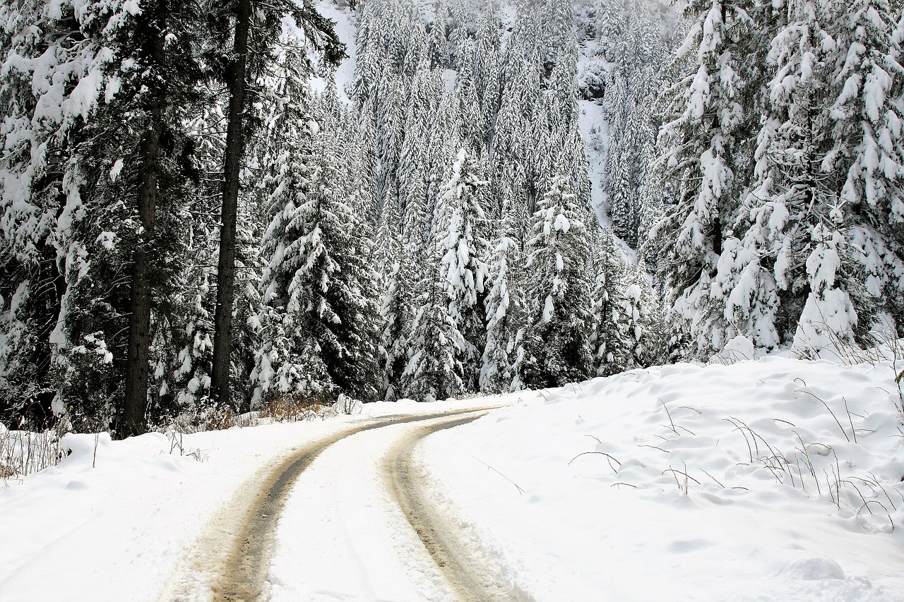 Image - winter landscape snow