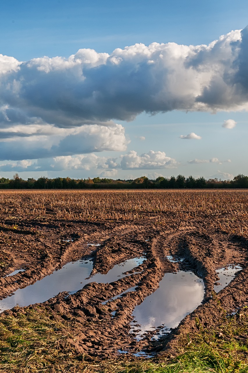 Image - field autumn arable nature mature