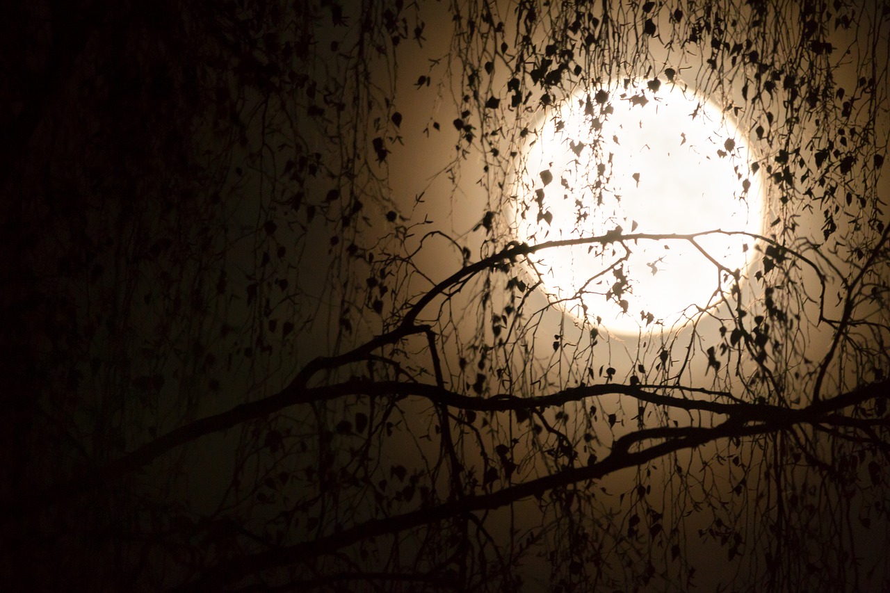 Image - moon silhouettes aesthetic