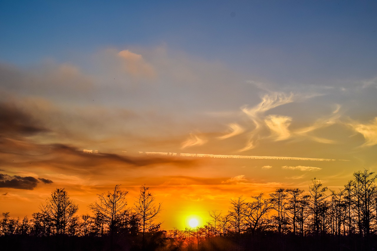 Image - sunset everglades landscape