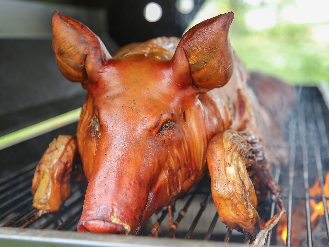 Image - grill pig food