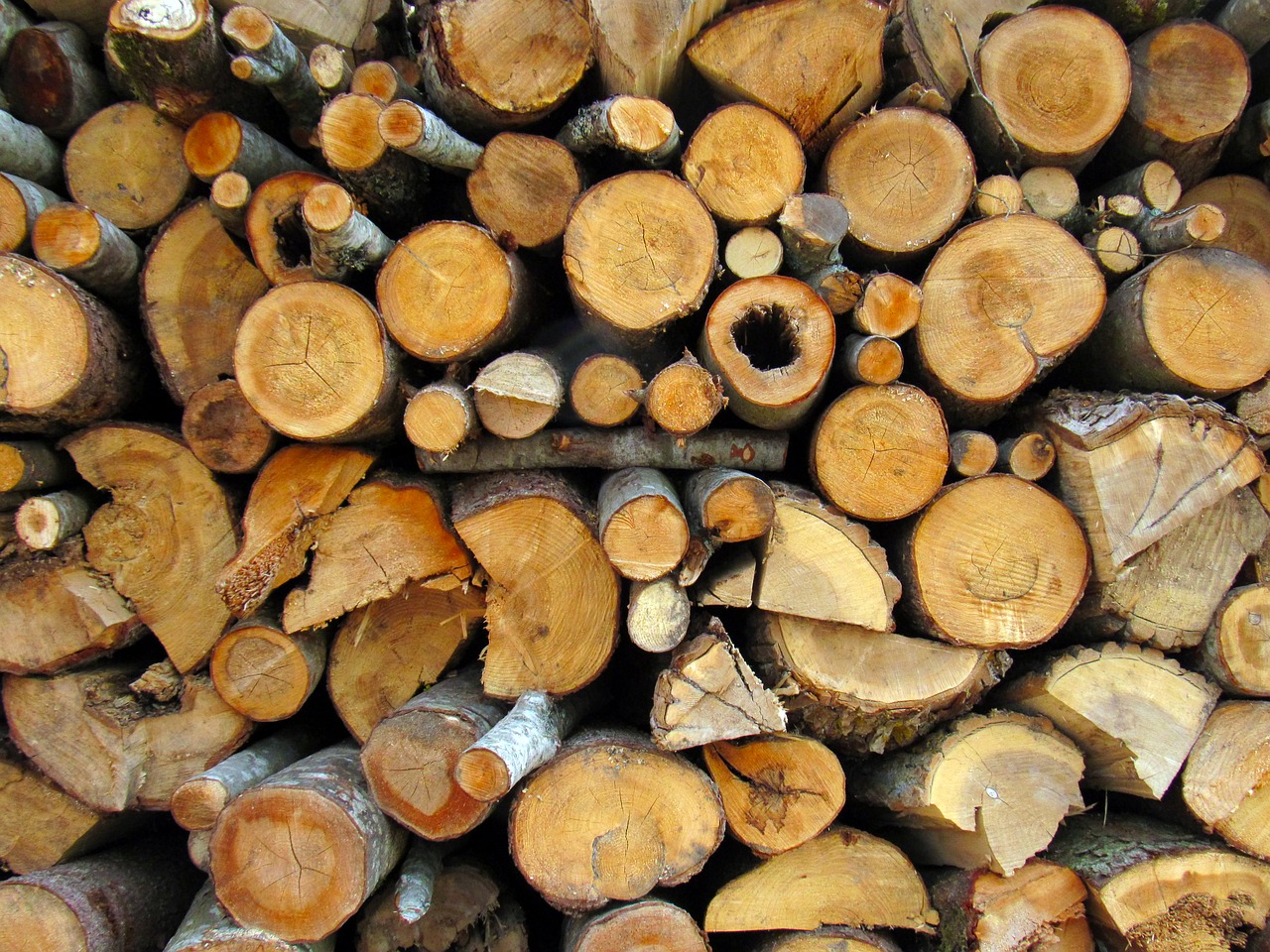 Image - firewood pile wood village sawn