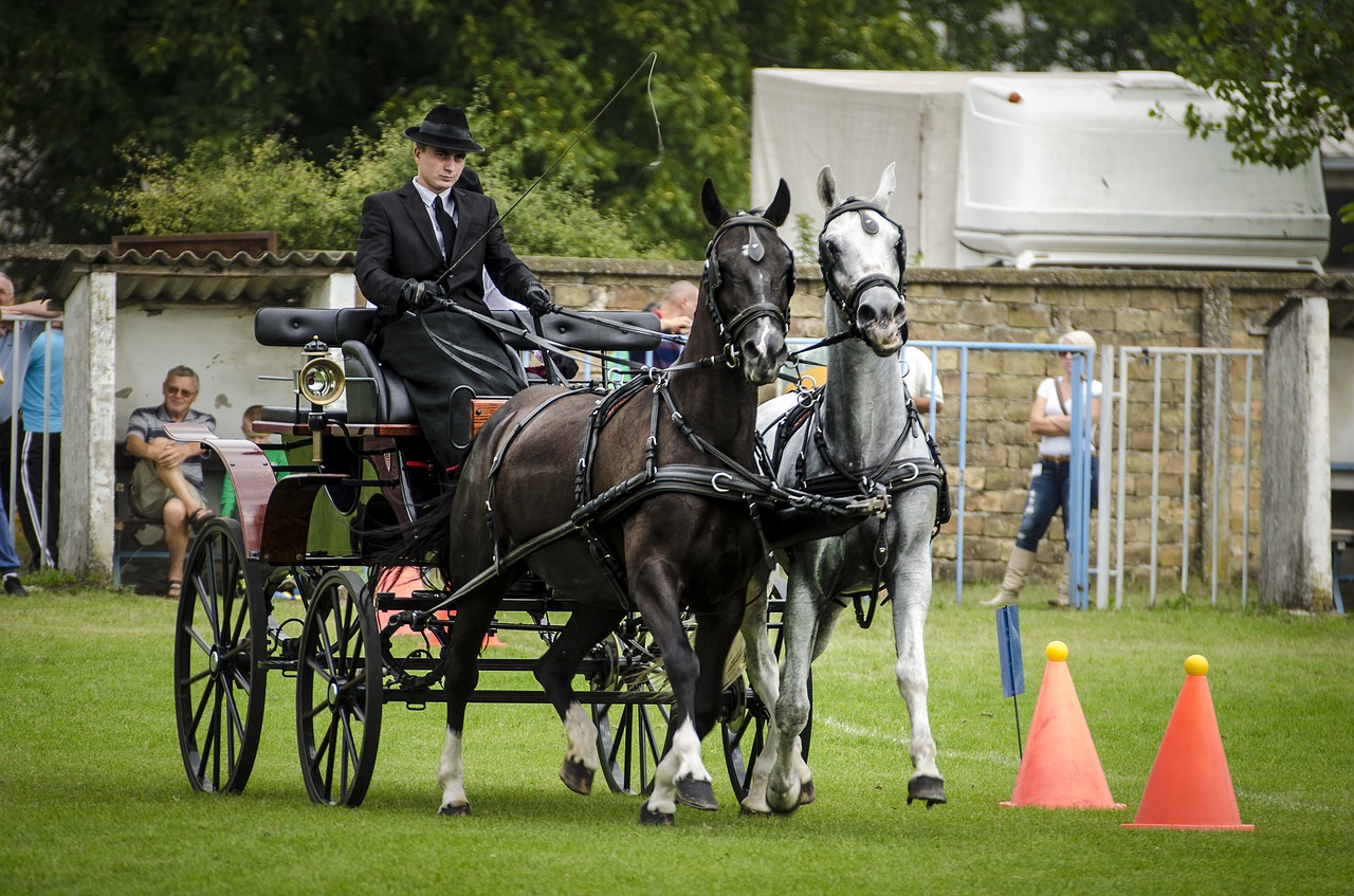 Image - carriage hors taxi retro