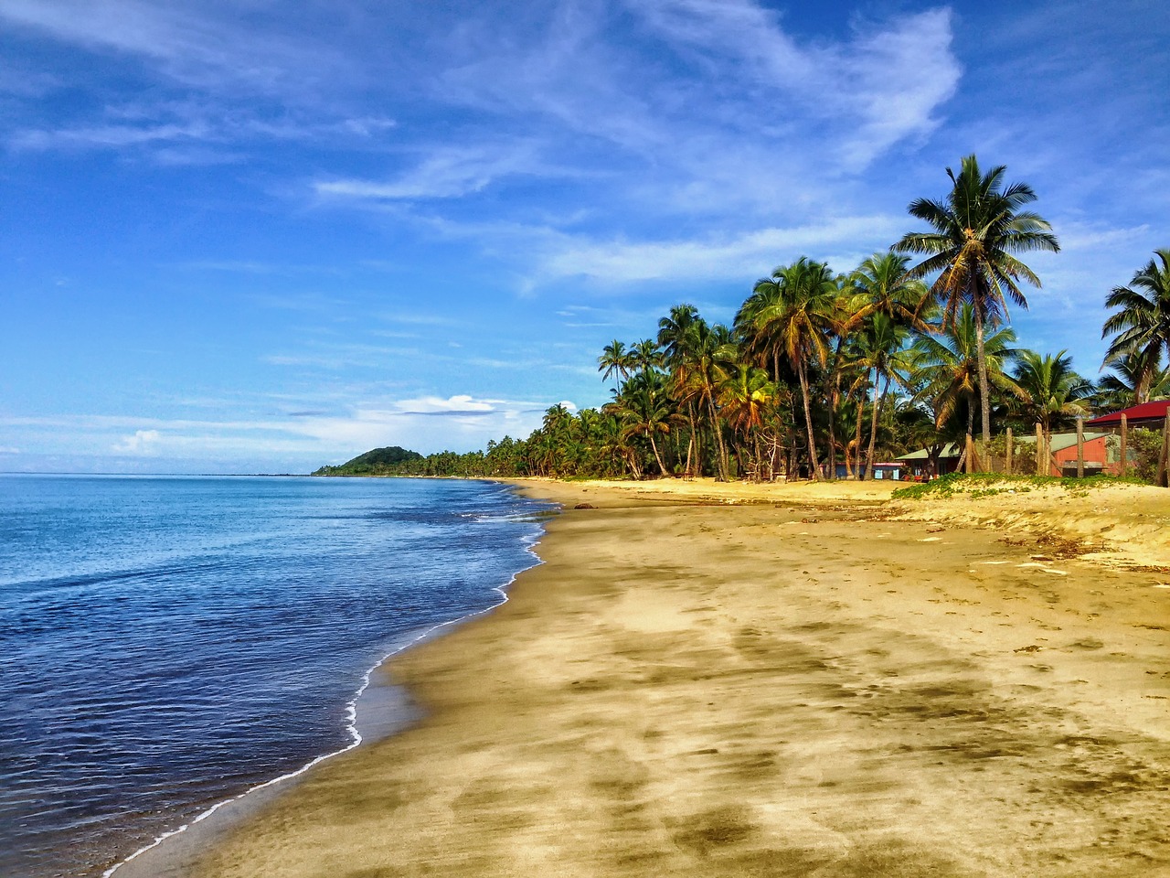 Image - fiji beach sand palm trees tropics