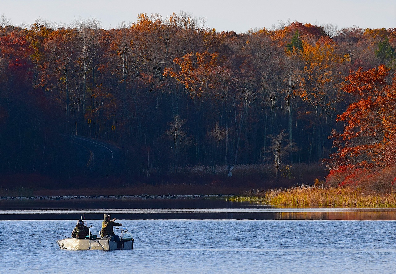Image - lake morning fall foliage