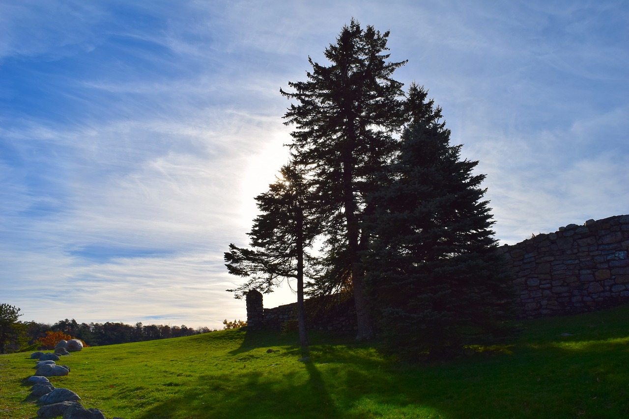 Image - landscape trees sun stones wall