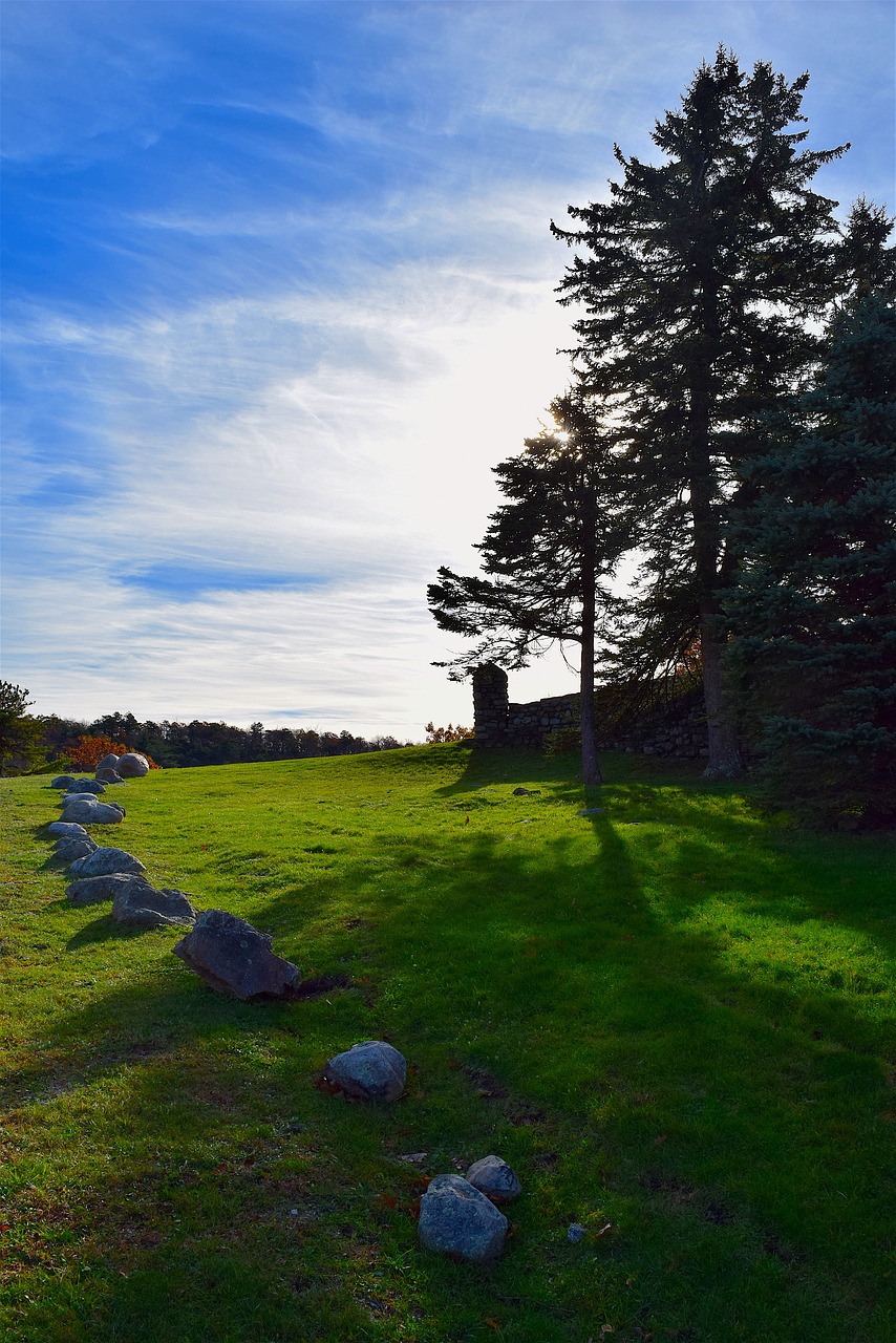 Image - landscape trees sun stones wall