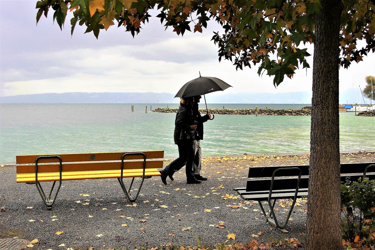 Image - umbrella rain autumn yellow leaves