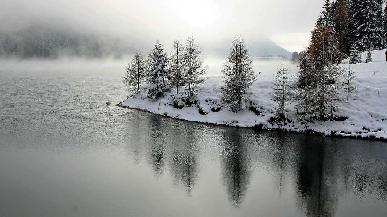 Image - larch winter landscape snow tree