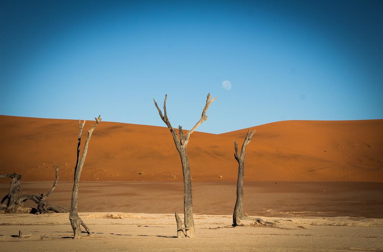 Image - namibia namib outdoors landscape