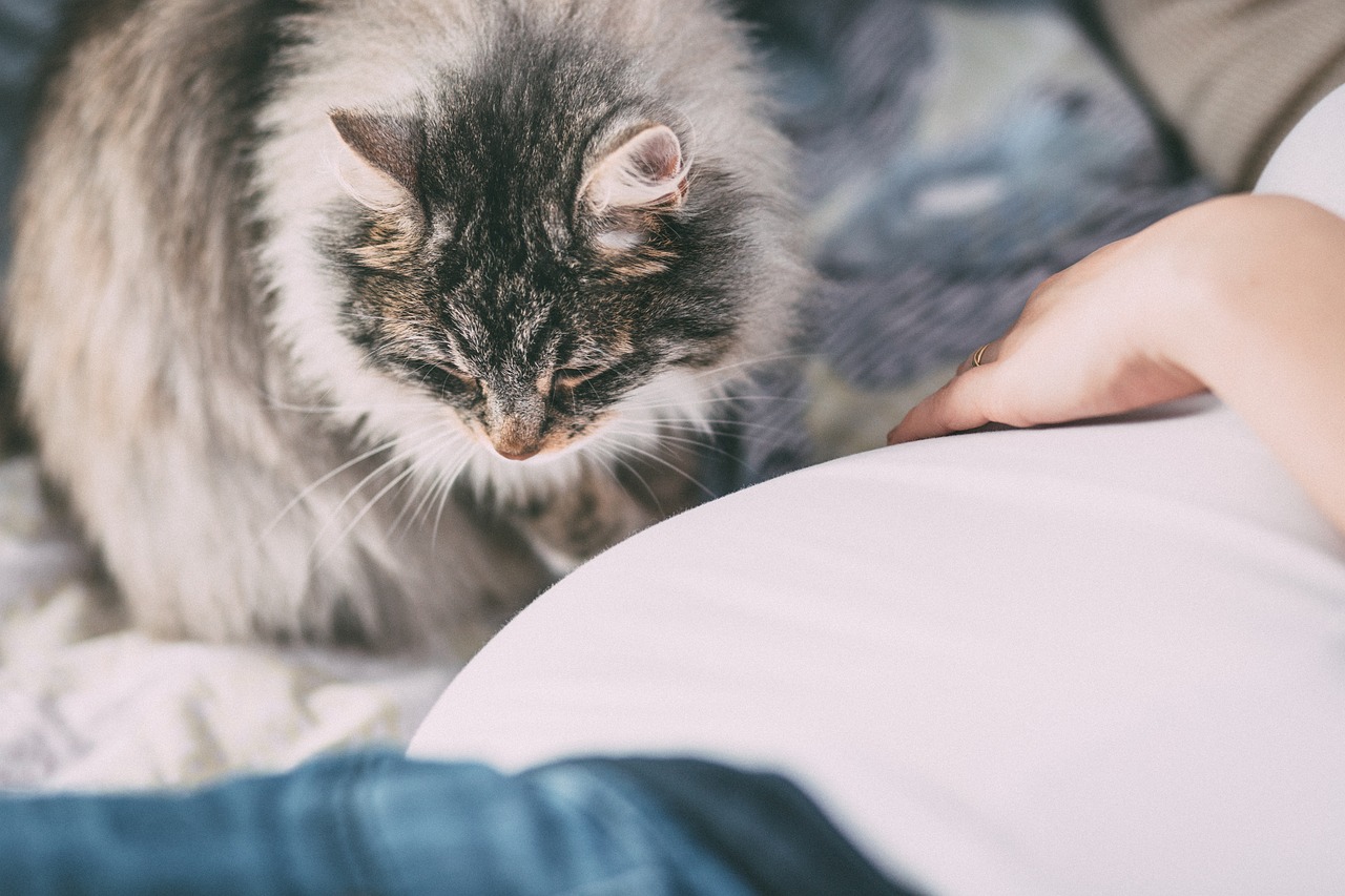 Image - animals people allergy baby belly