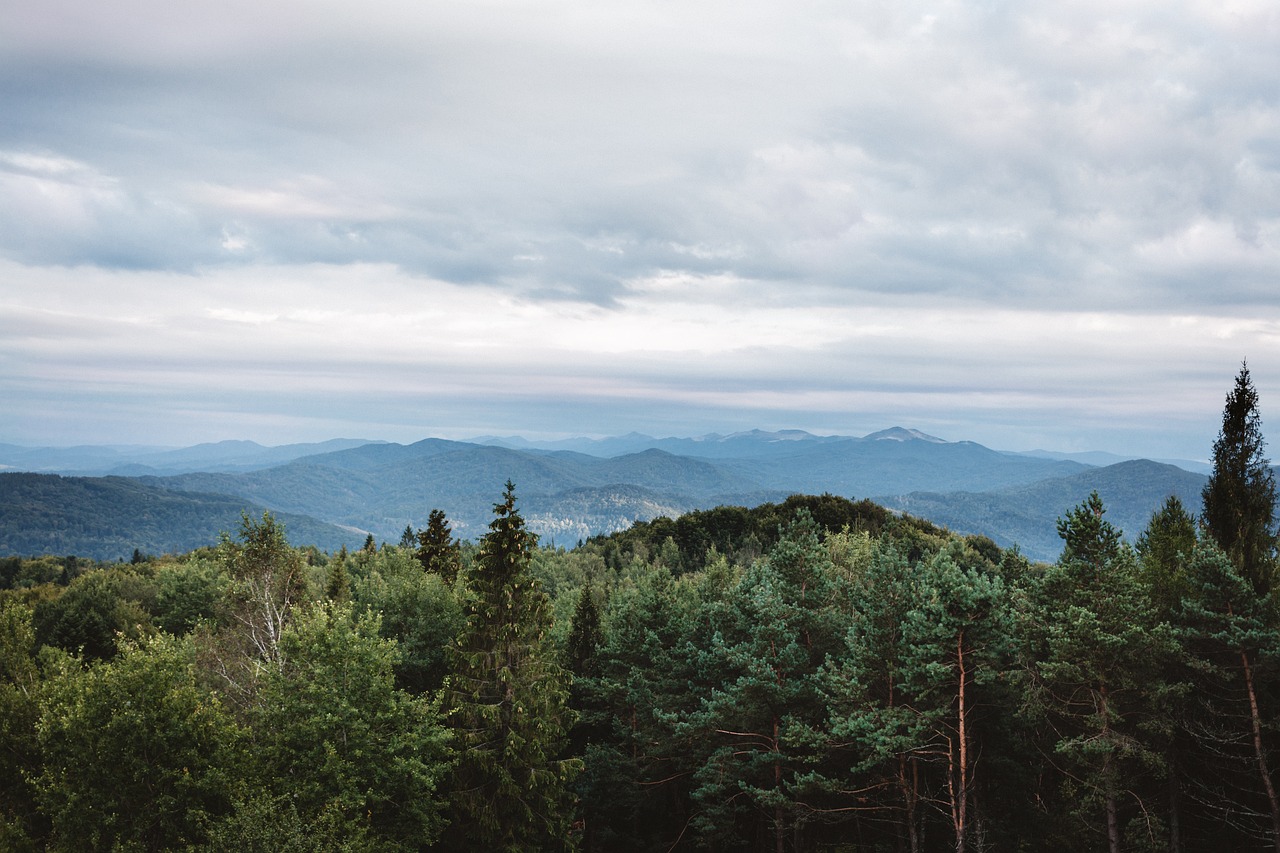 Image - nature afternoon autumn bieszczady