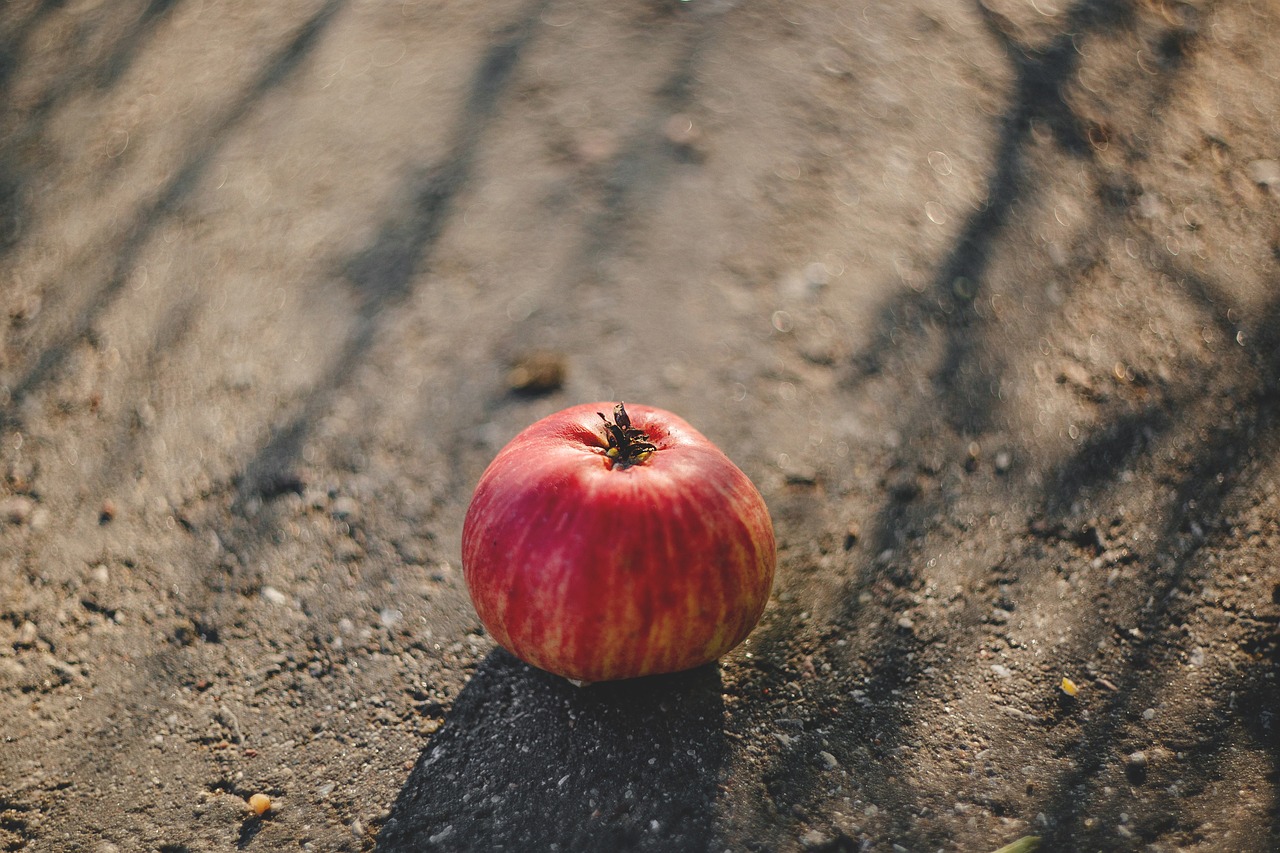 Image - nature apple asphalt city closeup