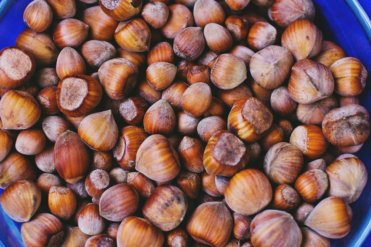 Image - nature autumn brown hazelnuts nuts