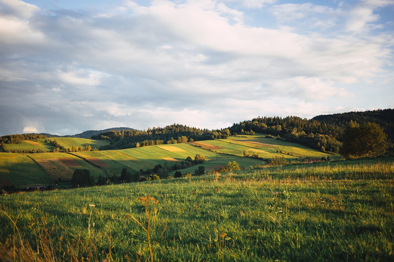 Image - nature bieszczady clouds field