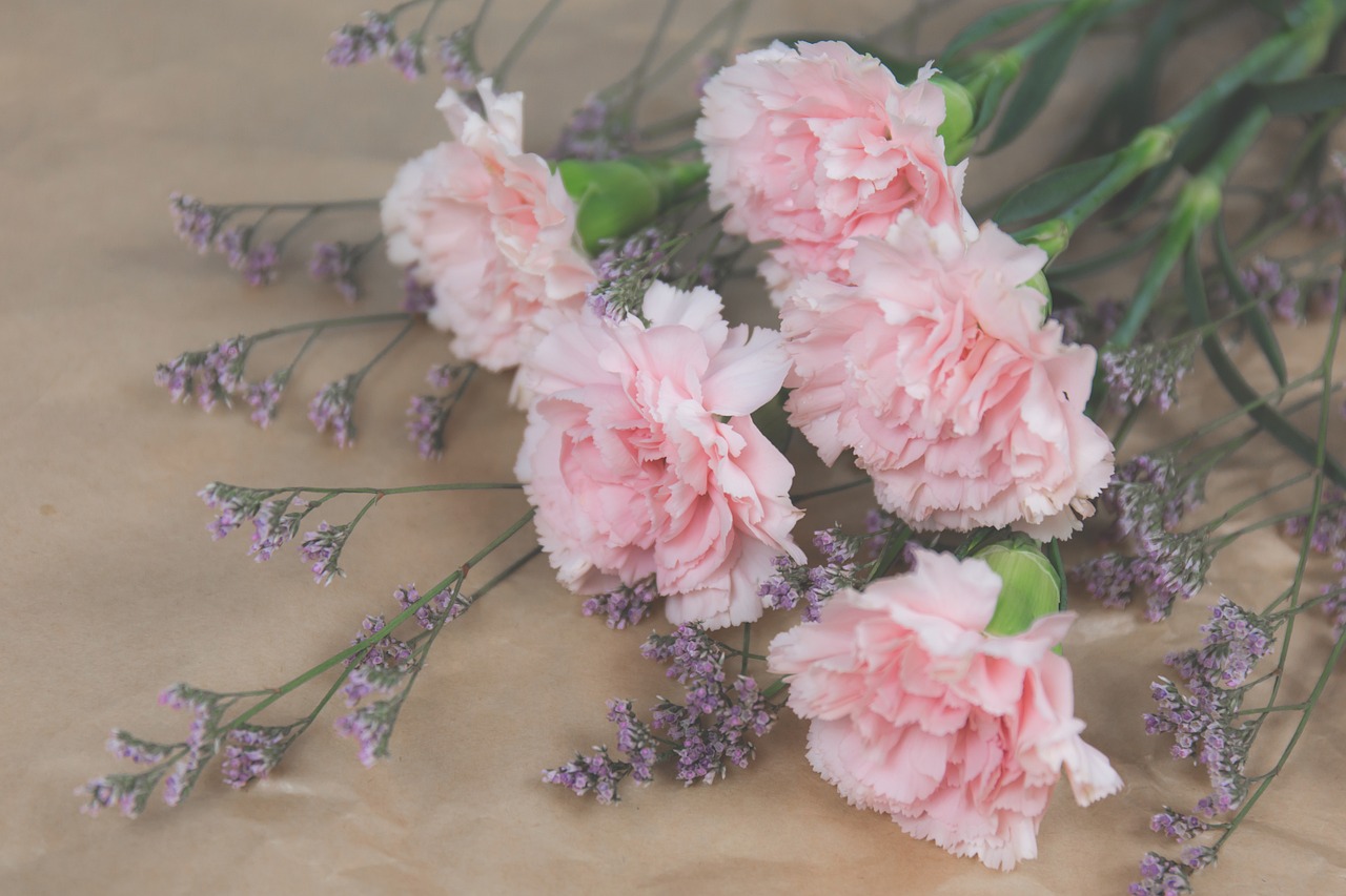 Image - nature blooms blossom bouquet