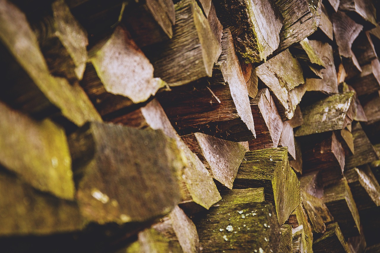 Image - nature closeup fuel outdoor pile