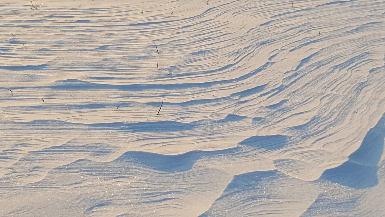 Image - winter snow dune wind wintry mood