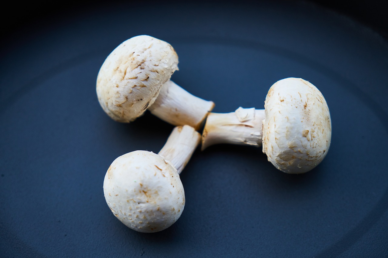 Image - mushrooms mushroom white vegetable