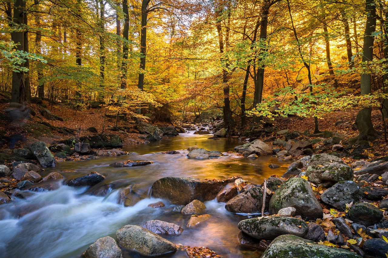 Image - fall foliage ilse long exposure