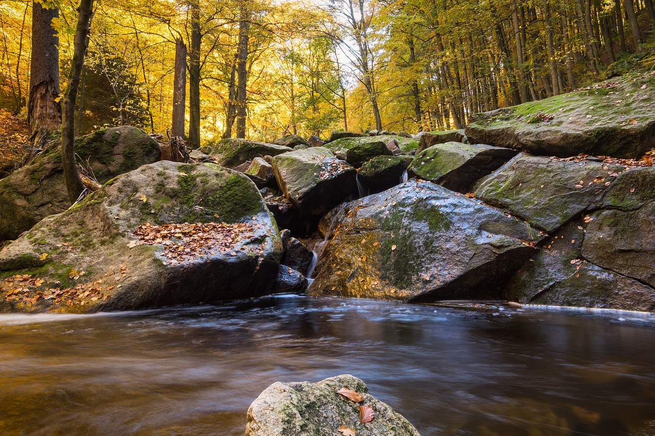 Image - fall foliage ilse long exposure