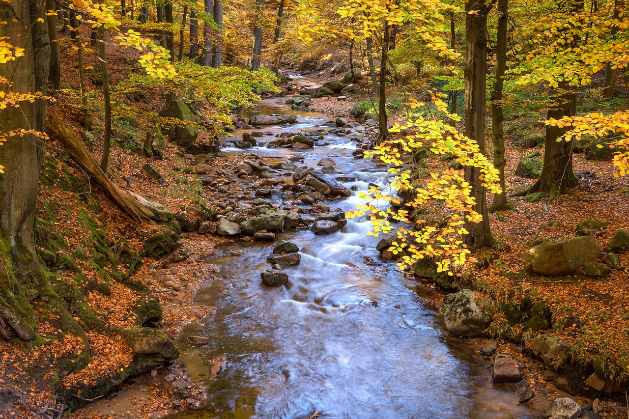 Image - fall foliage ilse long exposure