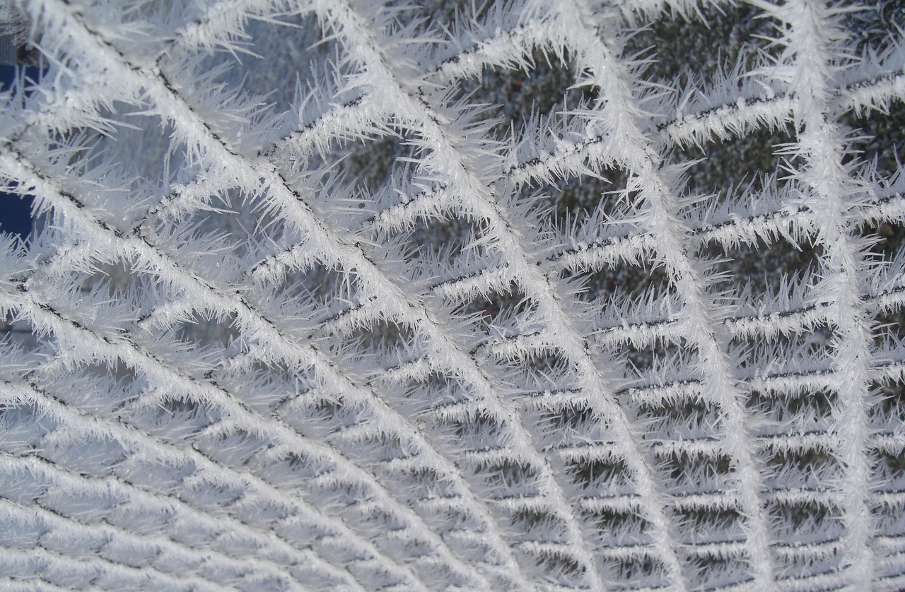 Image - hoarfrost wire mesh fence wintry