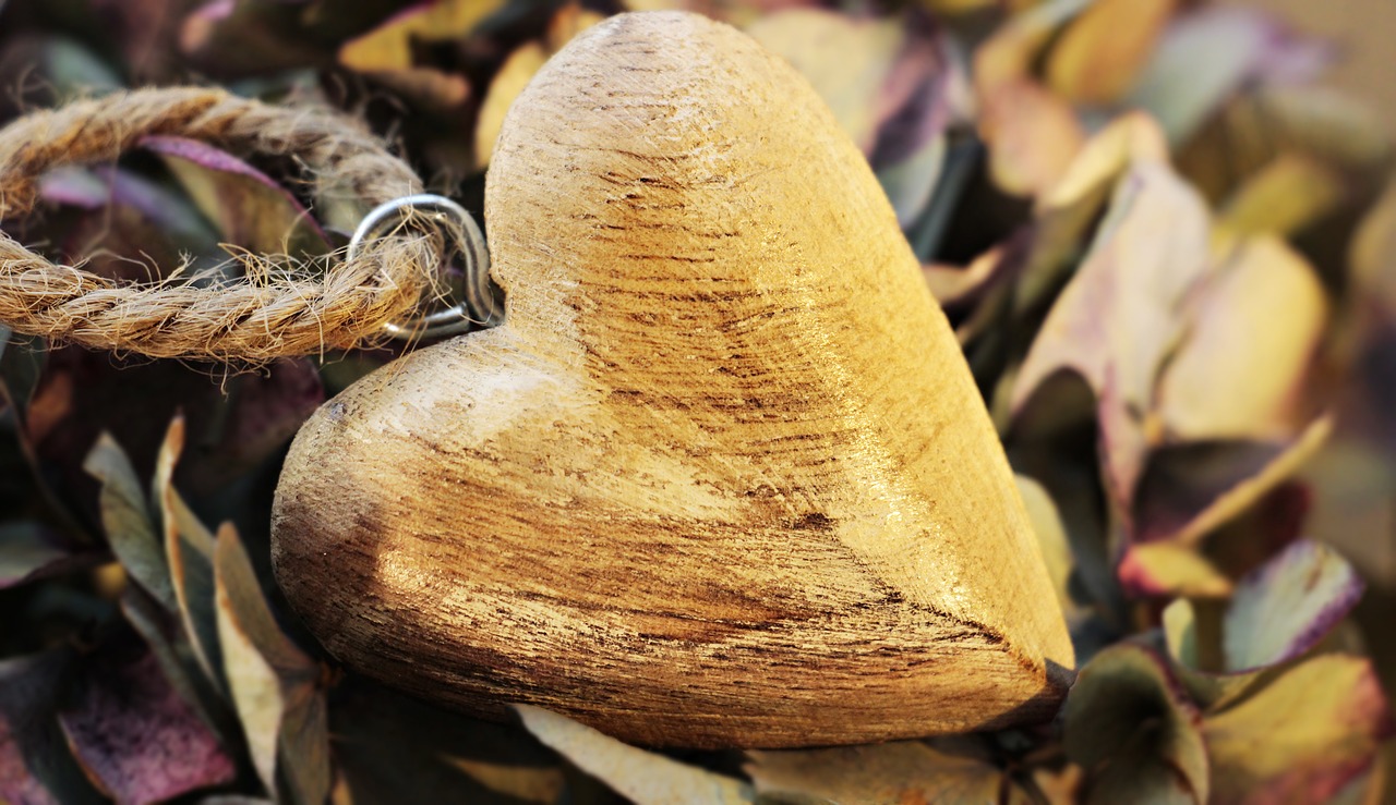 Image - heart wooden heart hydrangea flower