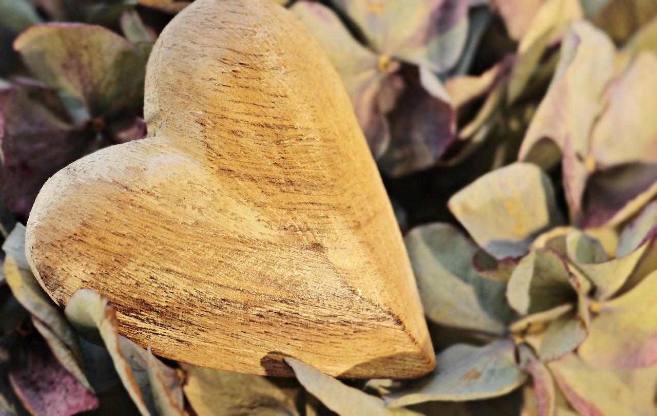 Image - heart wooden heart hydrangea flower