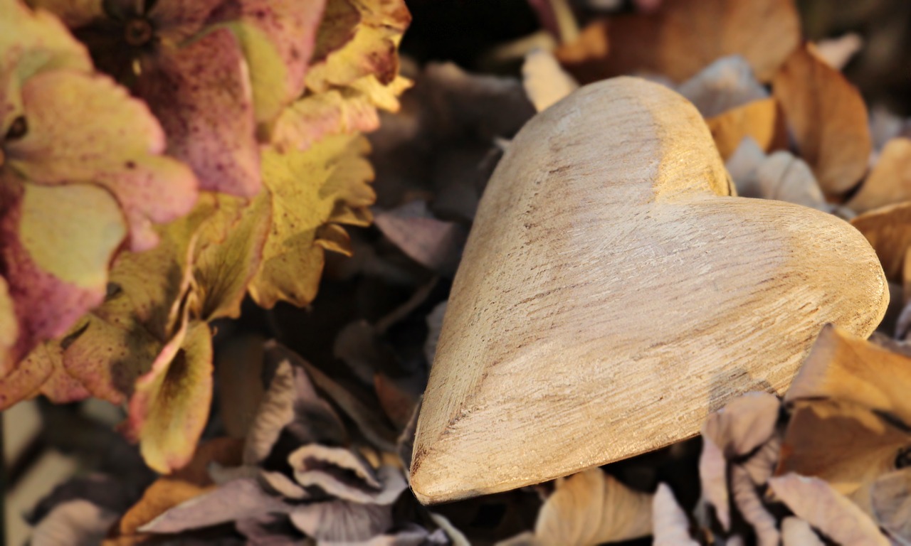 Image - heart wooden heart hydrangea flower