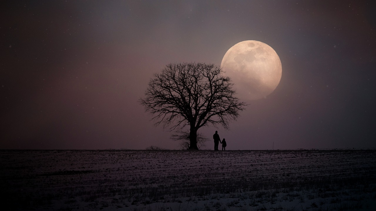 Image - winter wintry moon human