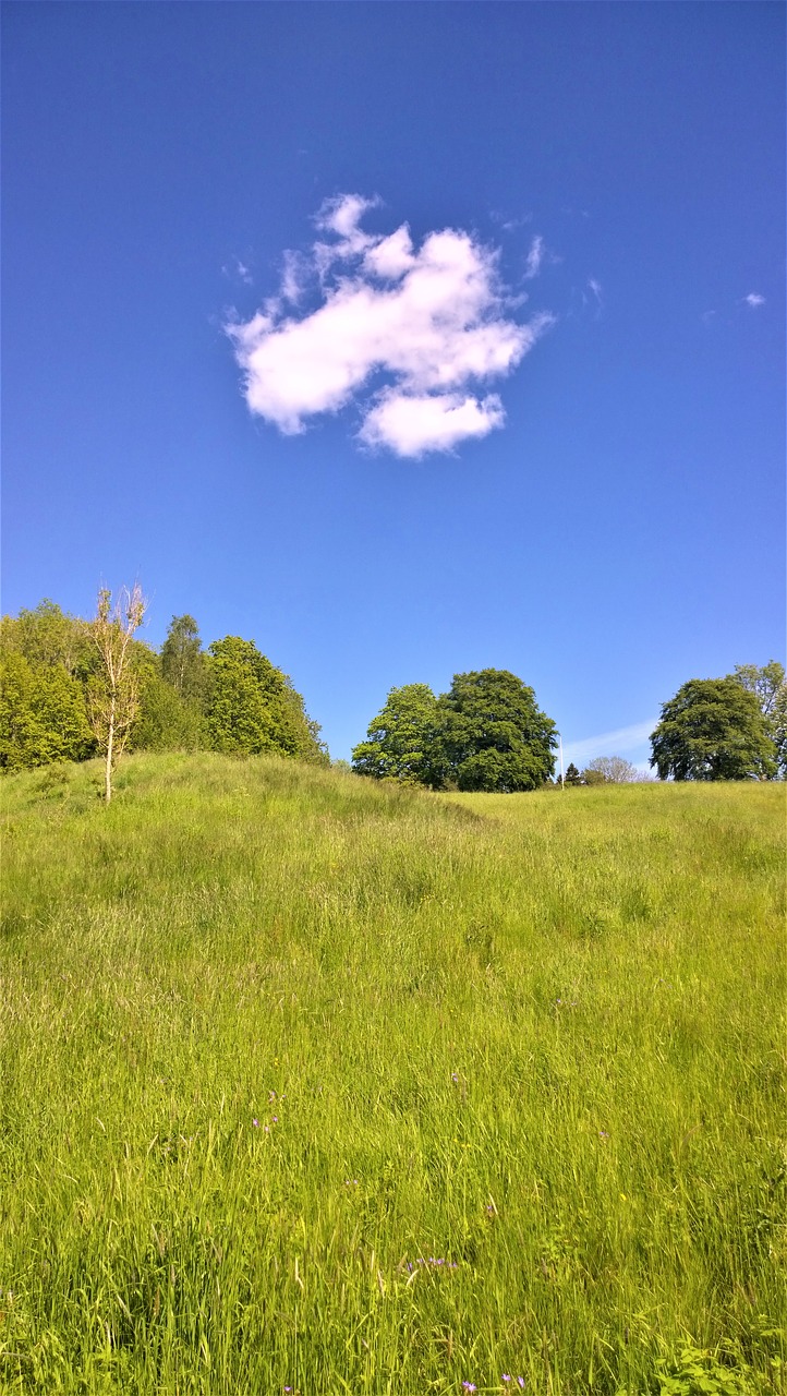 Image - cloud bed himmel summer landscapes