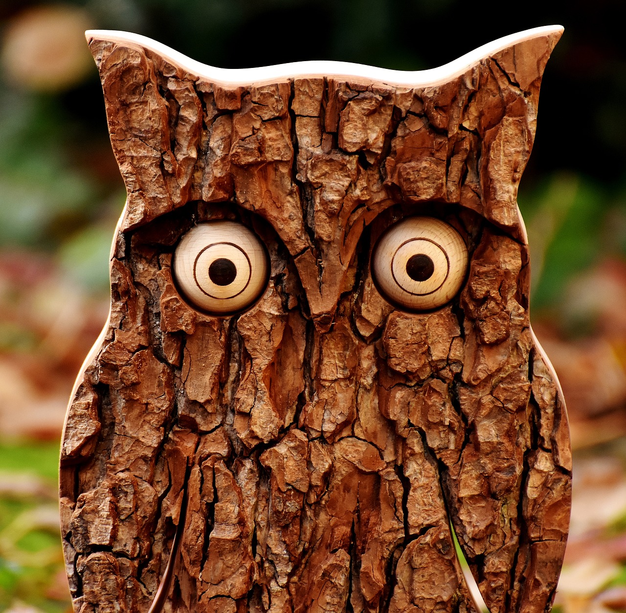 Image - owl tree bark animal autumn