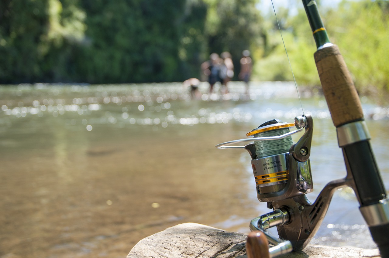 Image - fishing a fishing rod cane river