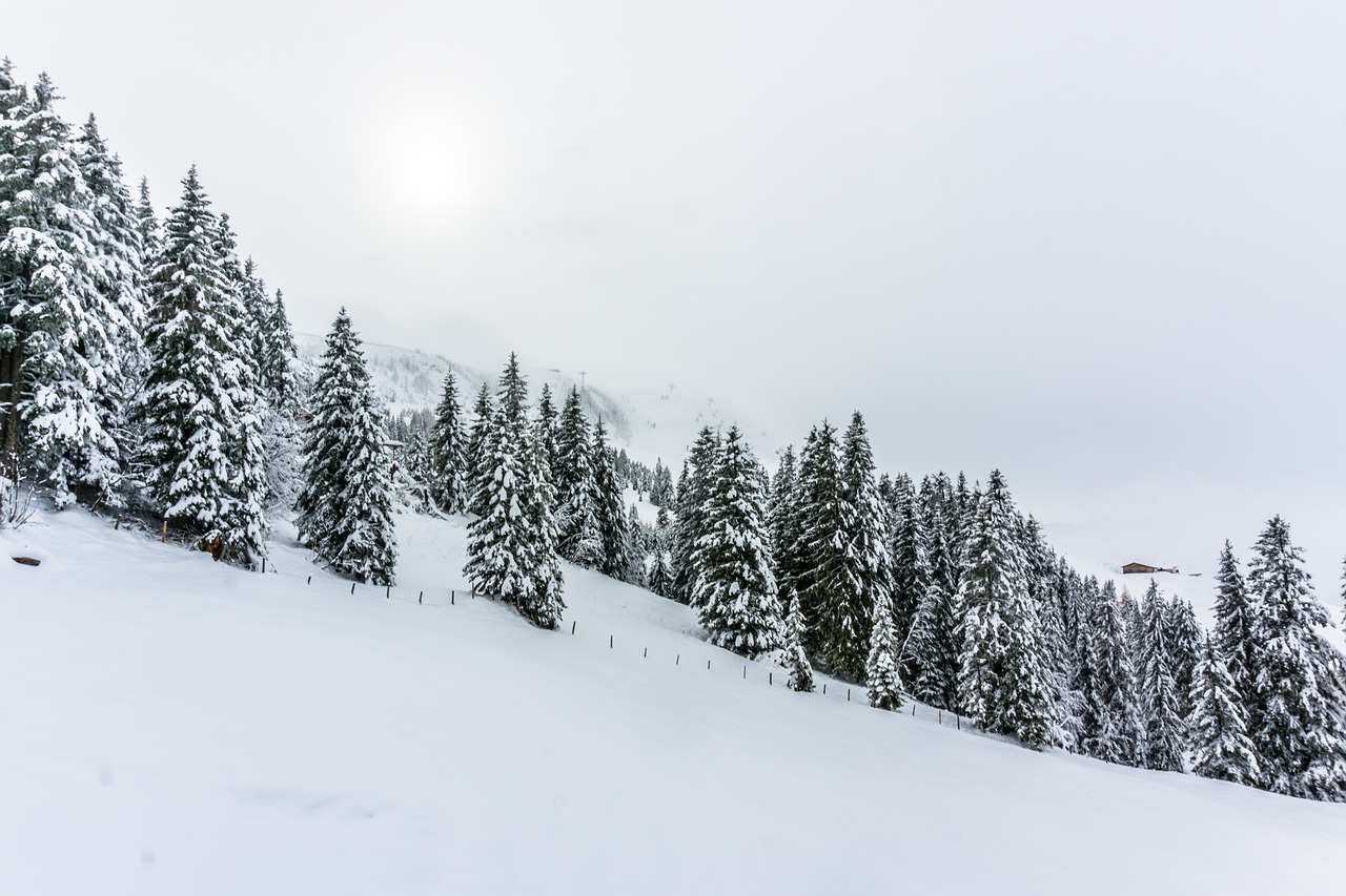 Image - winter snow snow covered wintry