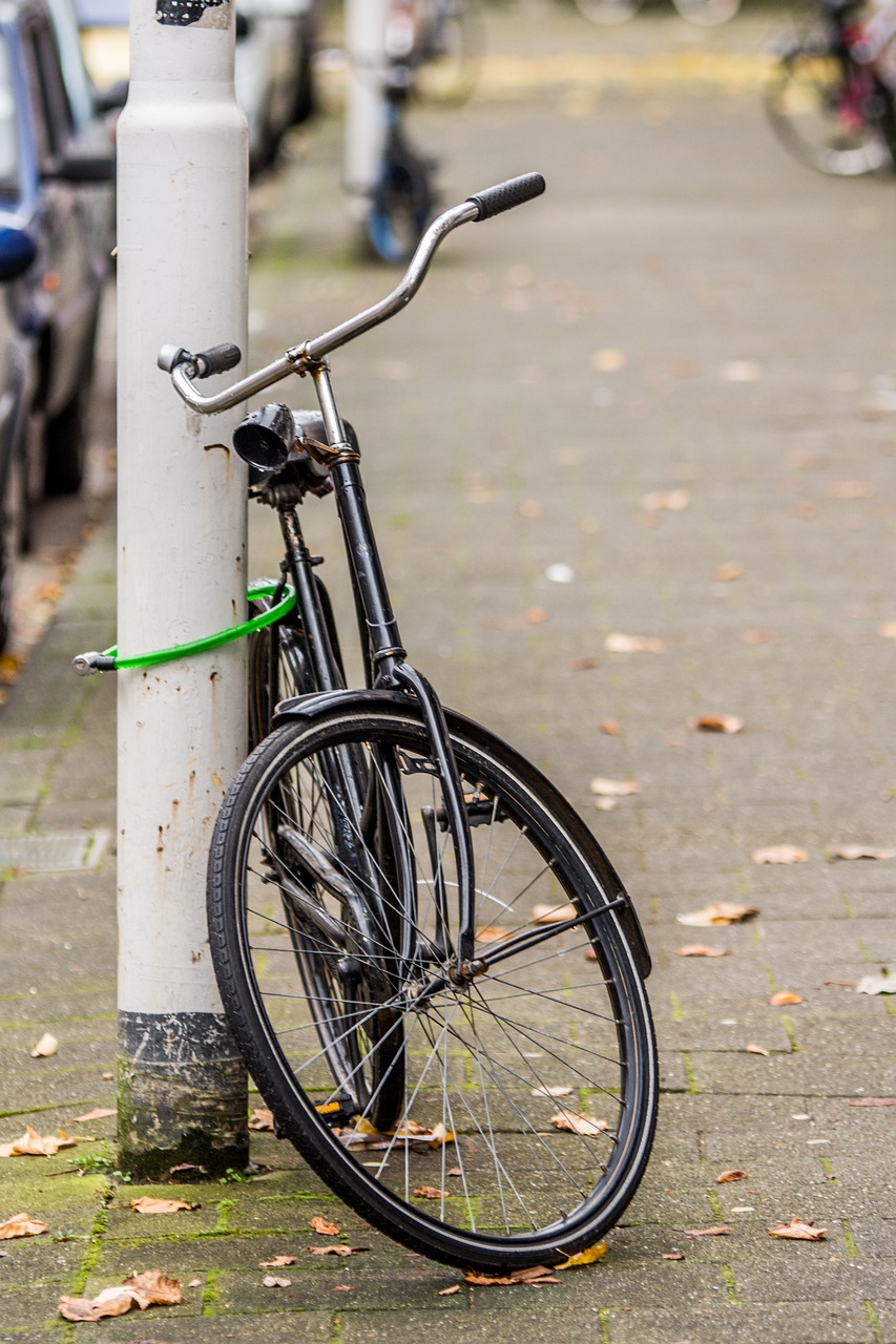 Image - bike holland netherlands dutch